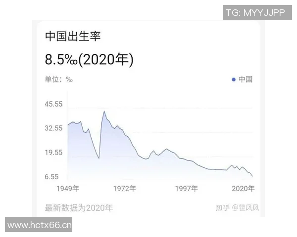 杭州乒乓球队实力飙升再创新高引发全国关注与热议