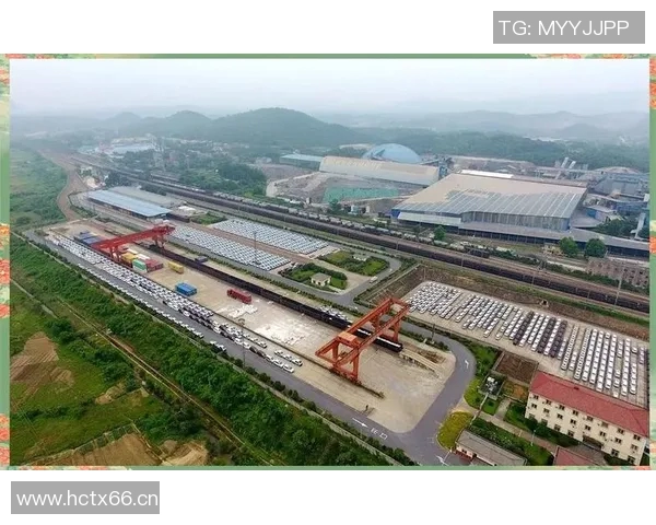 重庆排球队整体压制革新之路探秘与未来展望